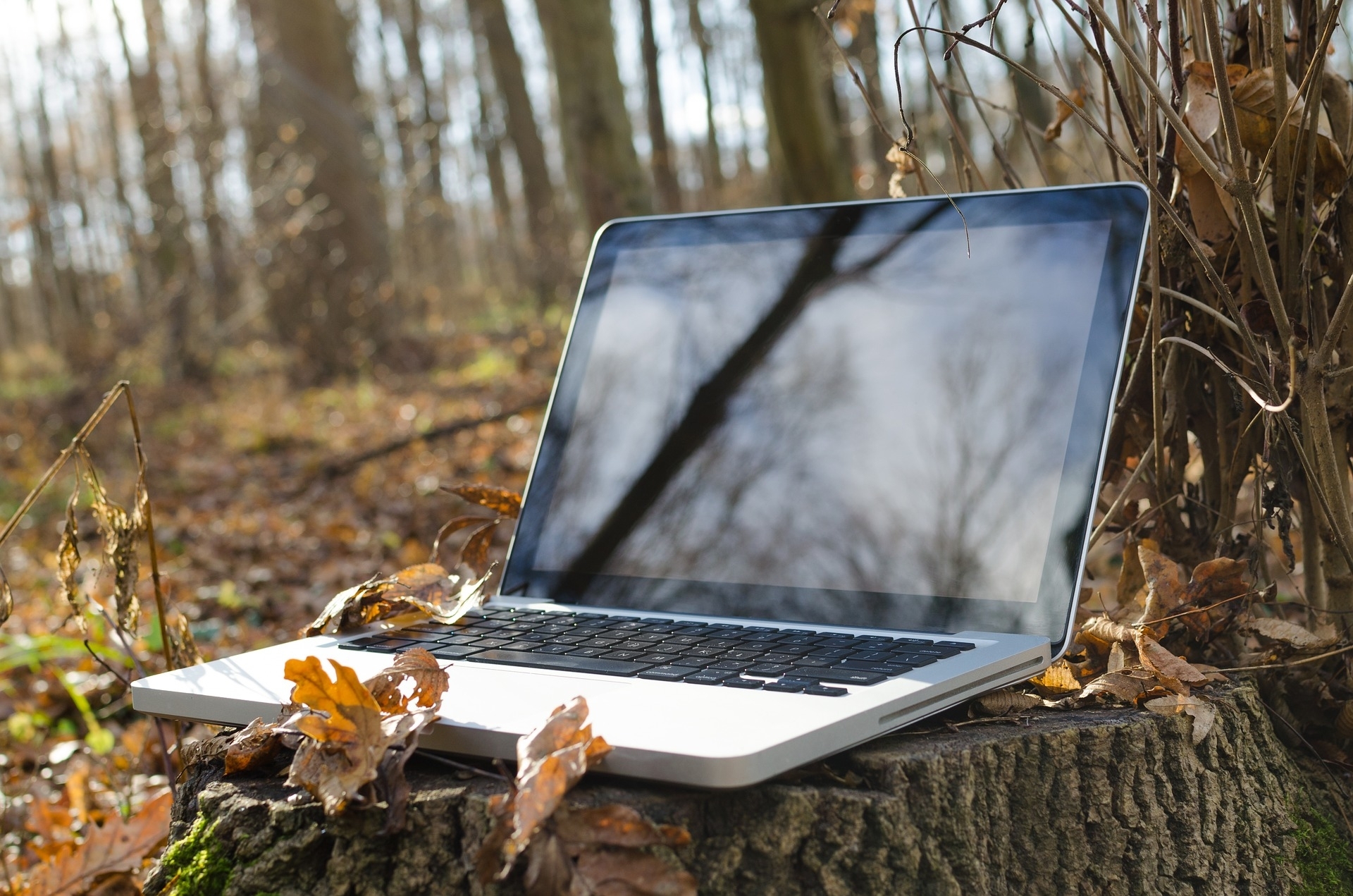laptop-2055521_1920
